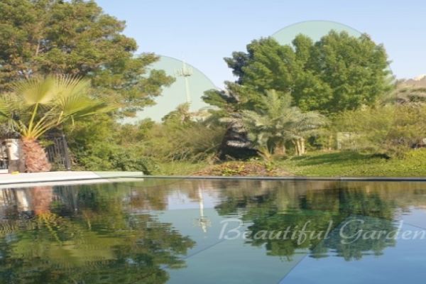 Beautify the surroundings of your pool to enjoy splashes